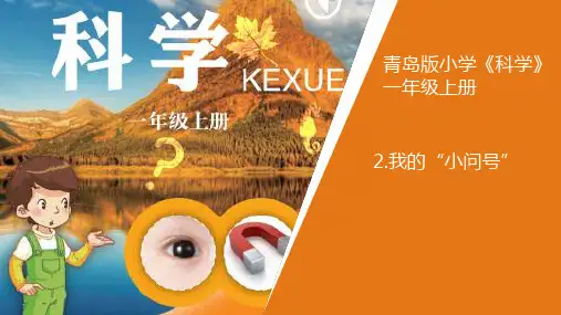 青岛版(六三制)科学一年级上册《2.我的“小问号”》
