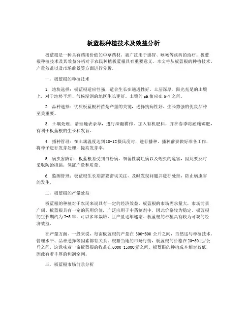 板蓝根种植技术及效益分析