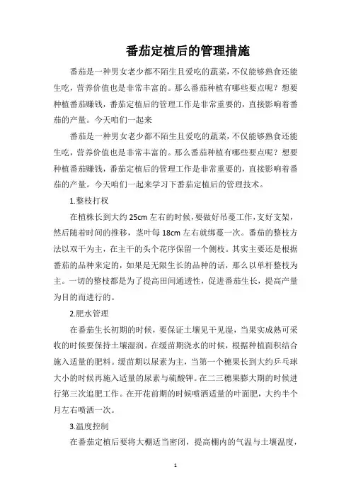 番茄定植后的管理措施