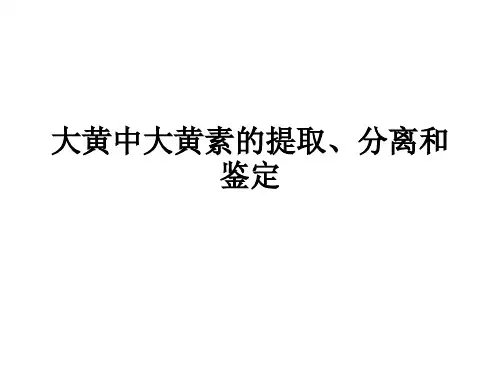 大黄中大黄素的提取分离