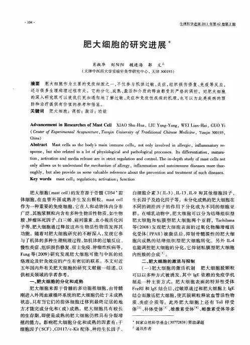 肥大细胞的研究进展