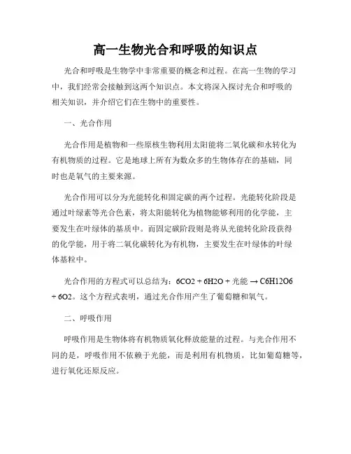 高一生物光合和呼吸的知识点