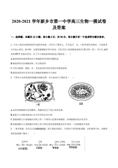 2020-2021学年新乡市第一中学高三生物一模试卷及答案