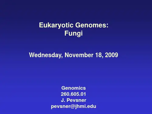 11-Fungi(生物信息学国外教程2010版)