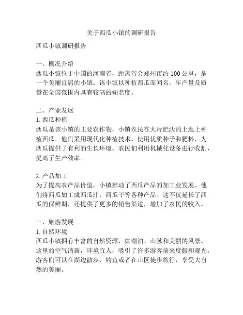 关于西瓜小镇的调研报告