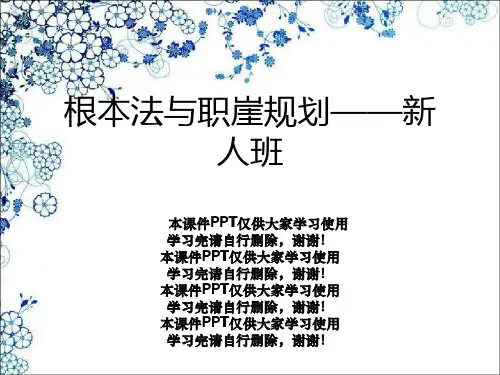 基本法与职崖规划——新人班