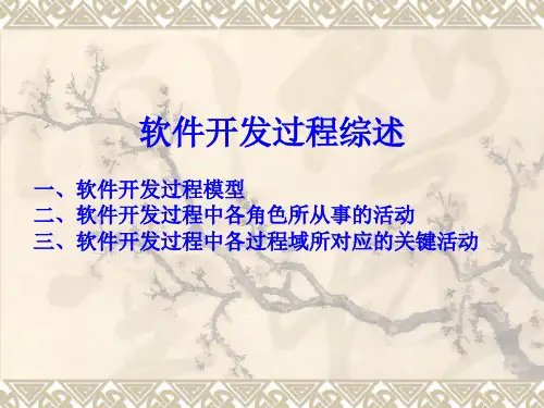 软件开发过程综述