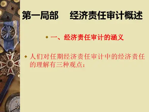 经济责任审计案例分析讲义