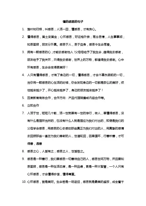 懂的感恩的句子