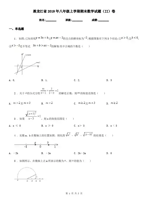 黑龙江省2019年八年级上学期期末数学试题(II)卷