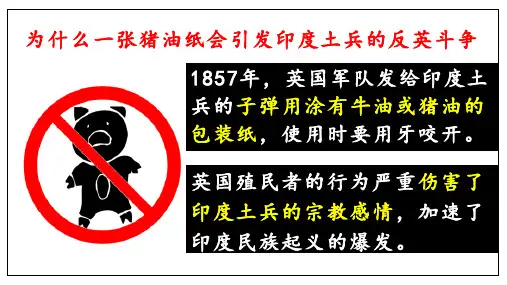 九下历史第1课殖民地人民的反抗斗争课件