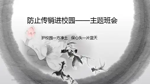 防止传销进校园——主题班会PPT教学课件