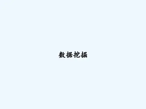 数据挖掘 PPT
