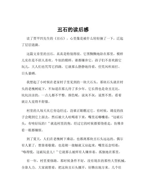 丑石的读后感