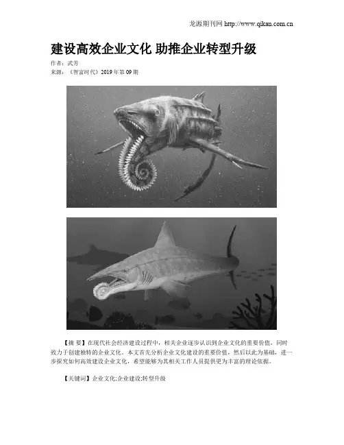建设高效企业文化 助推企业转型升级