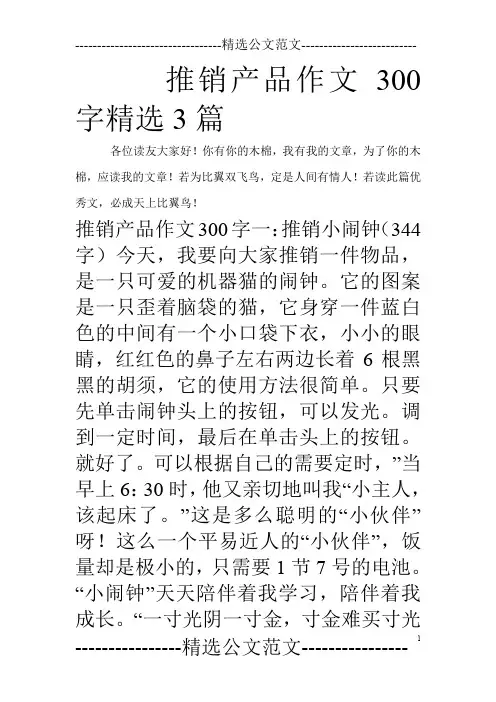 推销产品作文300字精选3篇