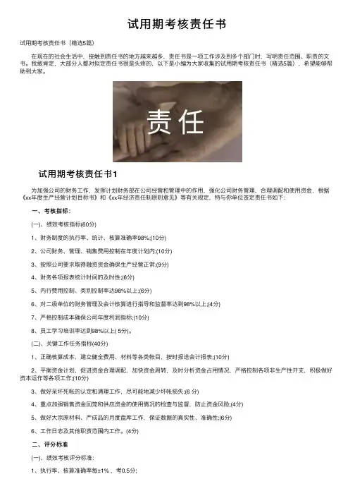 试用期考核责任书
