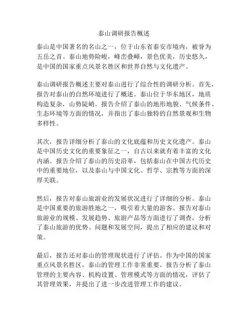 泰山调研报告概述