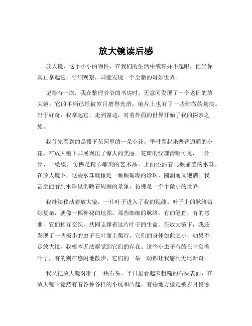 放大镜读后感