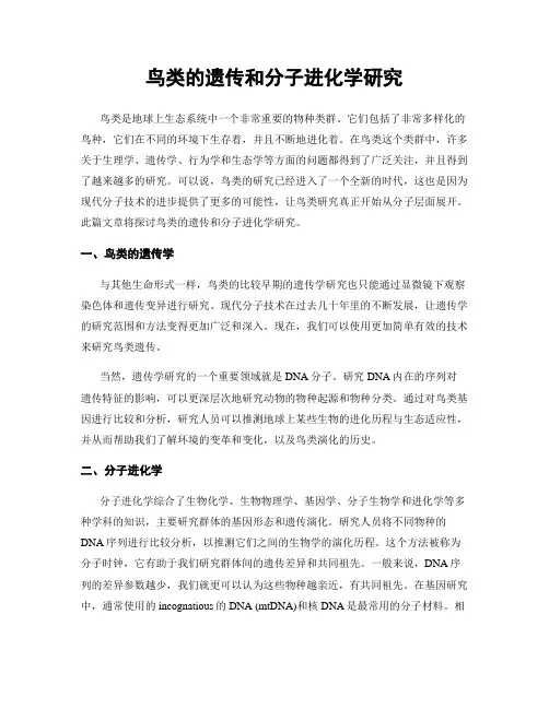 鸟类的遗传和分子进化学研究