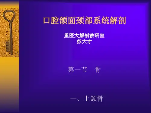 口腔颌面颈部系统解剖-彭大才