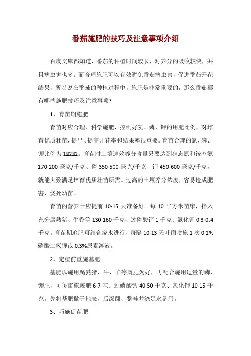 番茄施肥的技巧及注意事项介绍