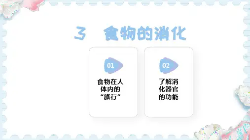 3  食物的消化(课件)人教版科学三年级上册