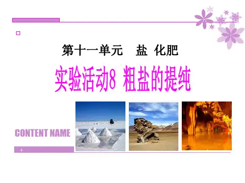 实验活动8 粗盐中难溶性杂质的去除