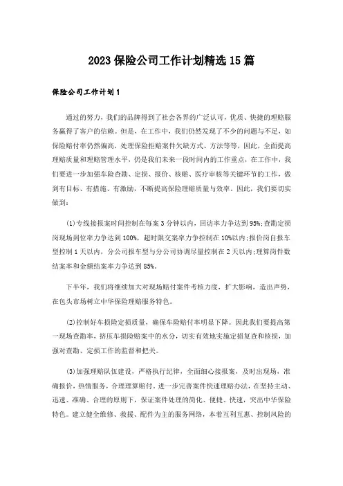 2023保险公司工作计划精选15篇