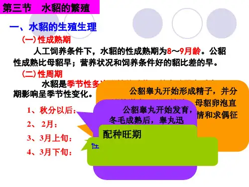 第三节 水貂繁殖