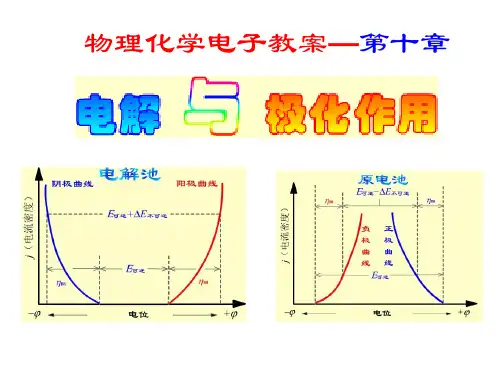 第十章电解与极化作用