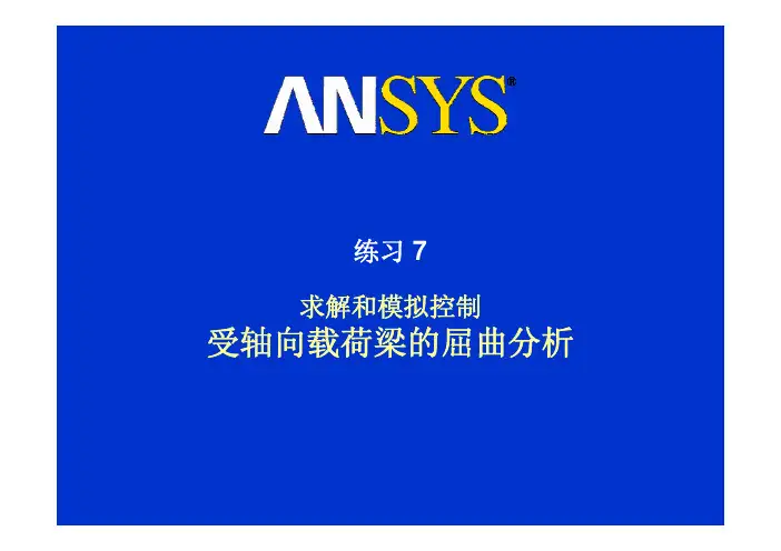 ANSYS Workbench 12.1 显示动力学 中文培训教程