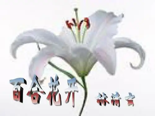 七年级语文百合花开
