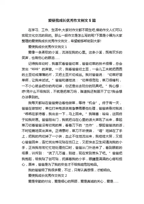 爱使我成长优秀作文例文5篇