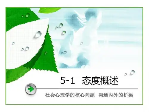 第5章态度