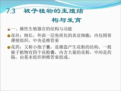 被子植物的生殖结构与发育