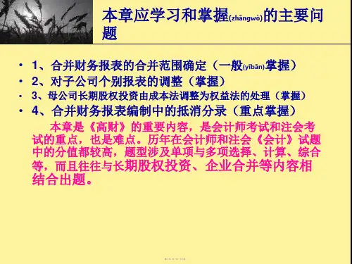 第十章合并财务报表119页PPT
