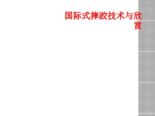 国际式摔跤技术与欣赏