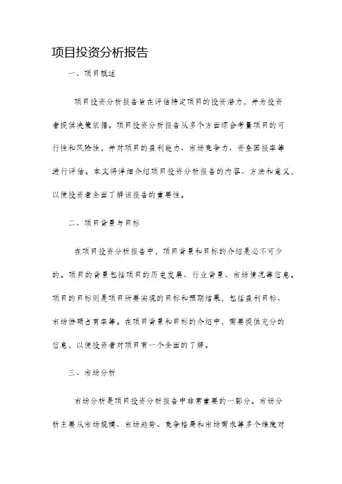 项目投资分析报告