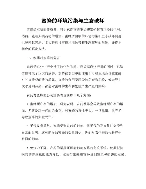 蜜蜂的环境污染与生态破坏