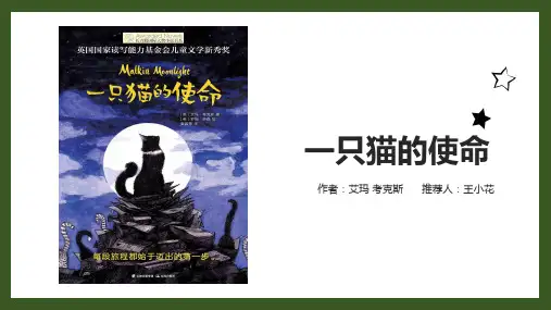 好书推荐PPT 图文