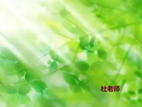 猫捕鱼教学文案