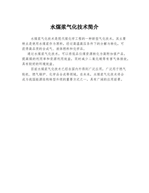水煤浆气化技术简介