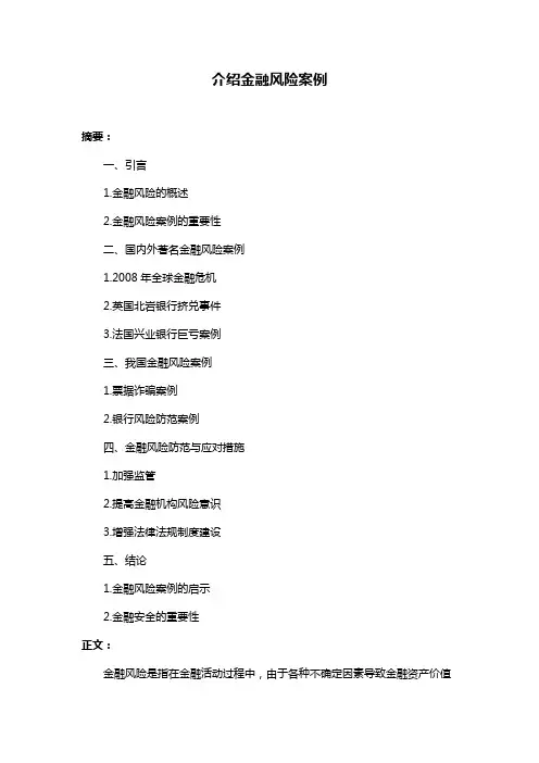 介绍金融风险案例