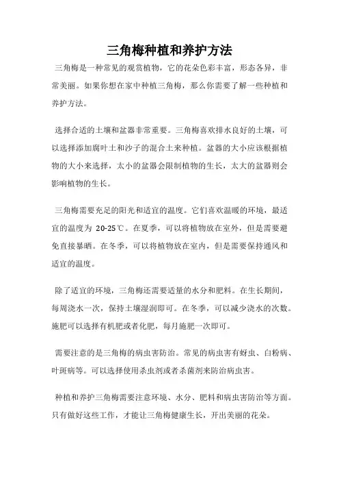 三角梅种植和养护方法