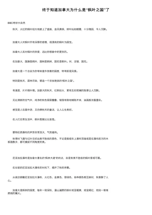 终于知道加拿大为什么是“枫叶之国”了