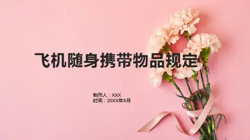 飞机随身携带物品规定