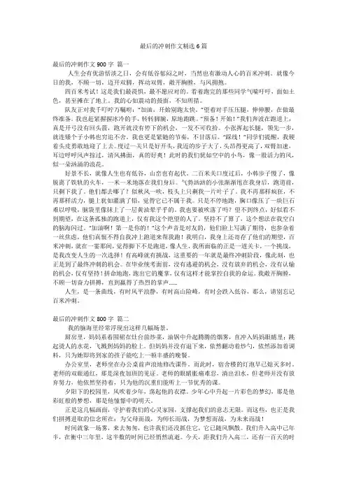 最后的冲刺作文精选6篇
