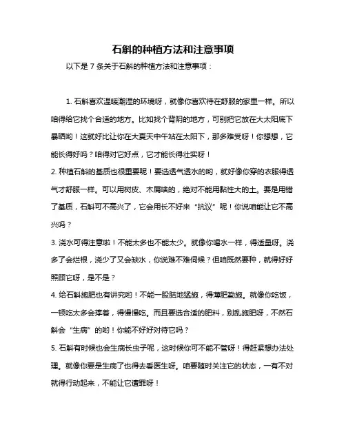 石斛的种植方法和注意事项