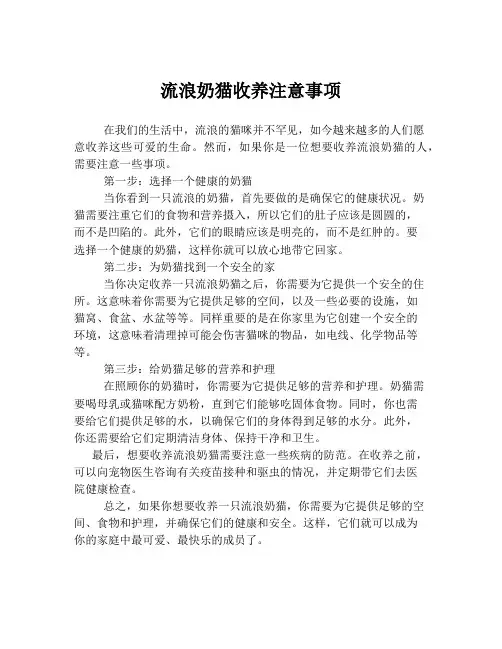 流浪奶猫收养注意事项